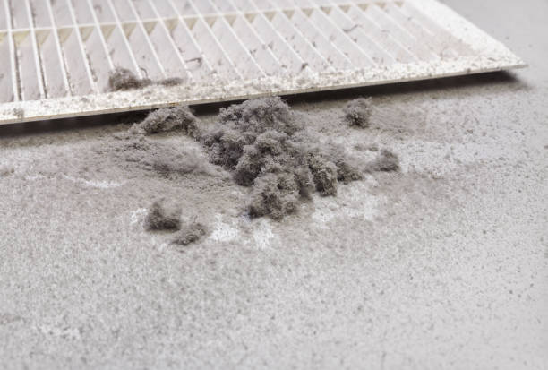 Best General Air Duct Cleaning  in Atascocita, TX