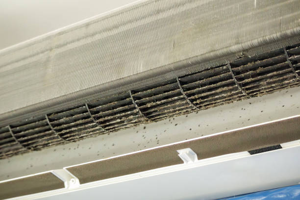 Best Affordable Air Duct Cleaning  in Atascocita, TX